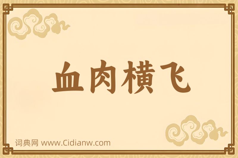 成语血肉横飞图片