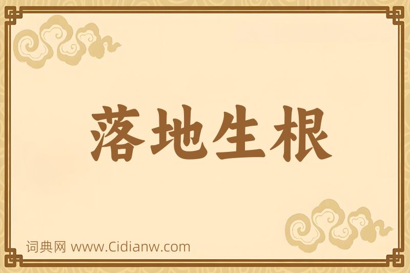 成语落地生根图片