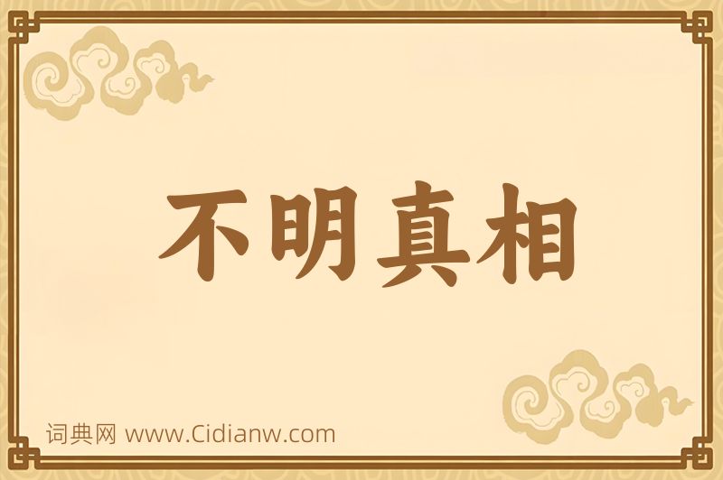 成语不明真相图片