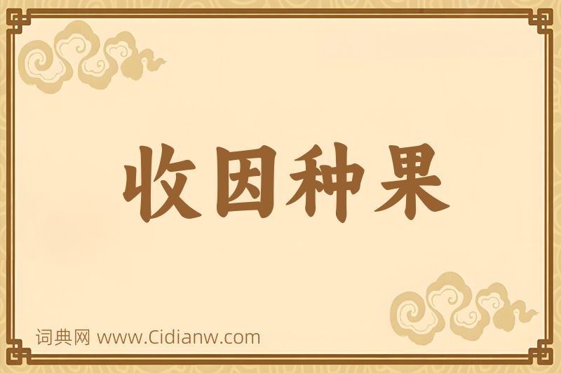 成语收因种果图片