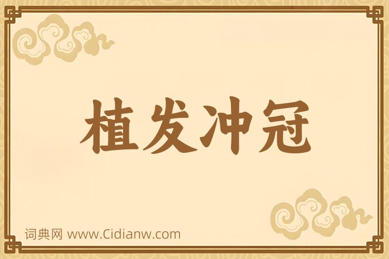 成语植发冲冠图片