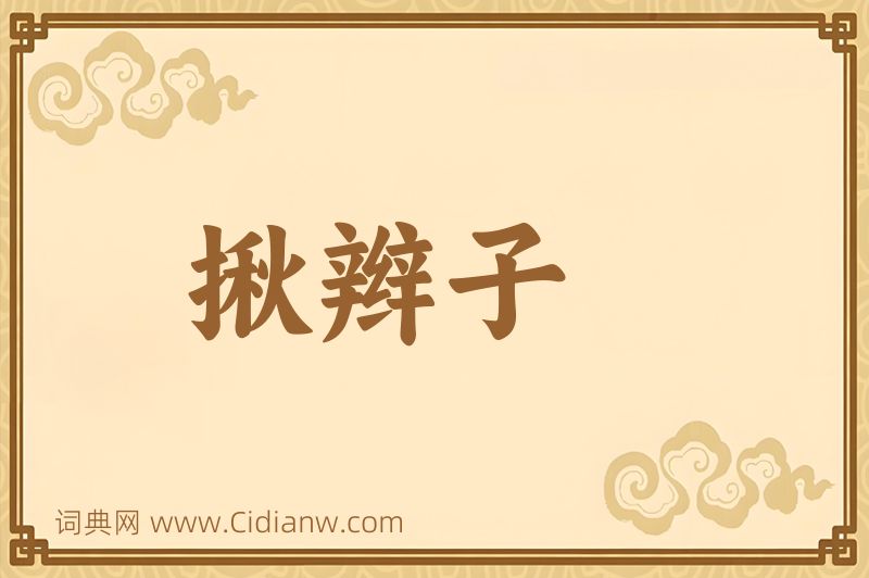 成语揪辫子图片