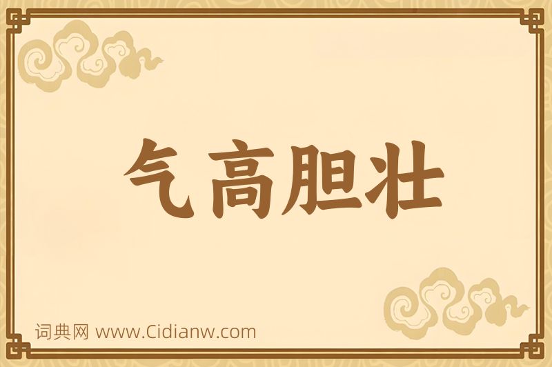 成语气高胆壮图片