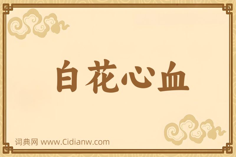 成语白花心血图片