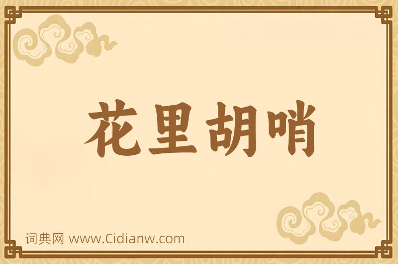 成语花里胡哨图片