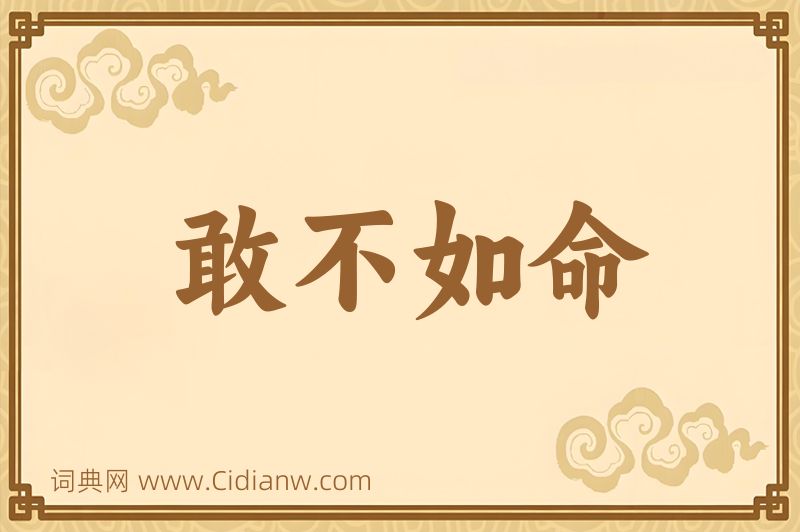 成语敢不如命图片