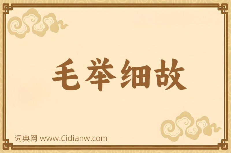 成语毛举细故图片