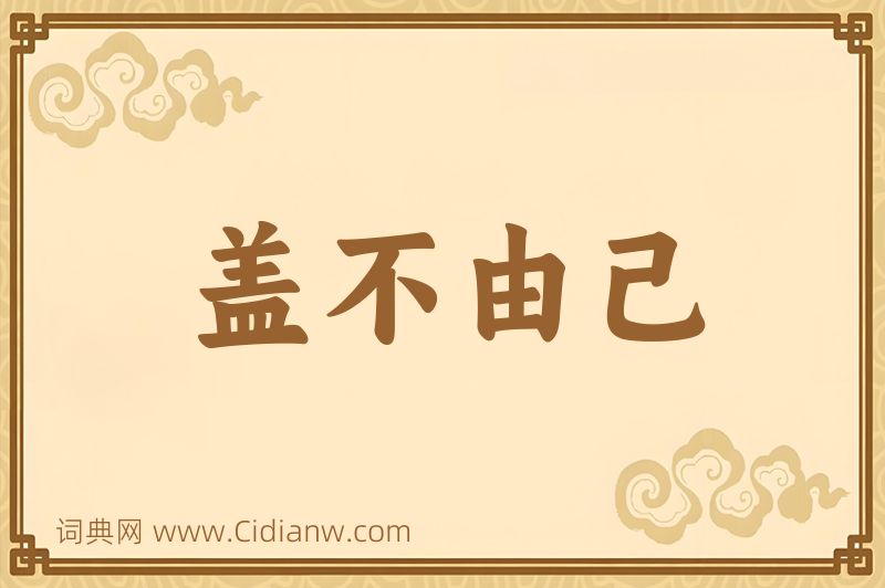 成语盖不由己图片