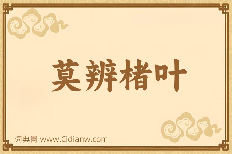 成语莫辨楮叶图片