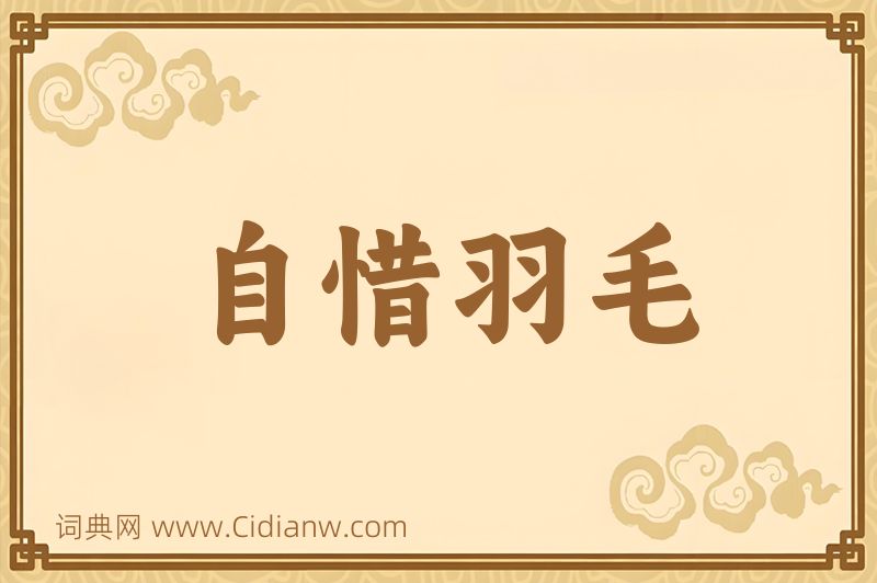 成语自惜羽毛图片