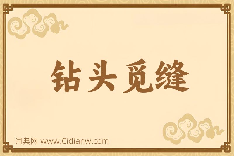 成语钻头觅缝图片