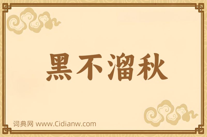 成语黑不溜秋图片
