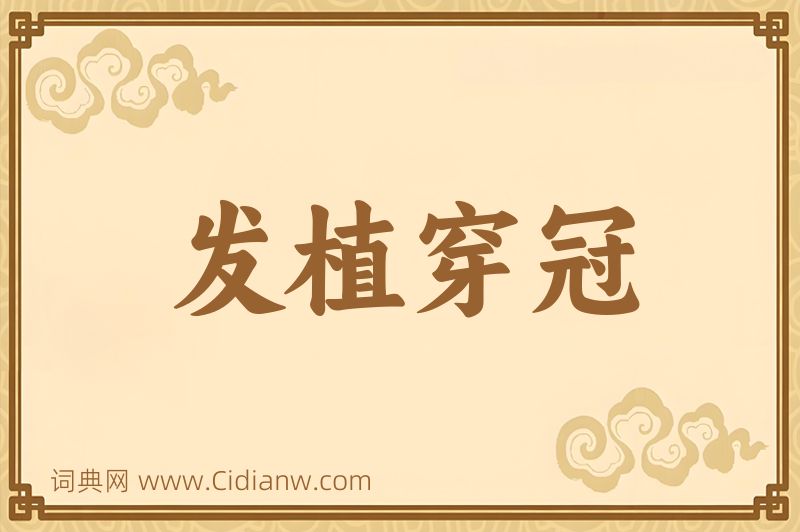 成语发植穿冠图片