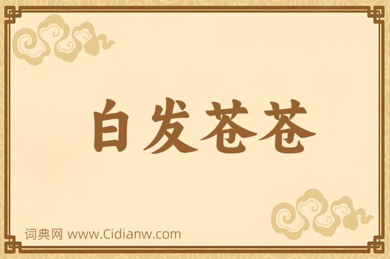 成语白发苍苍图片