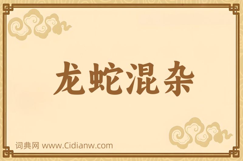 成语龙蛇混杂图片